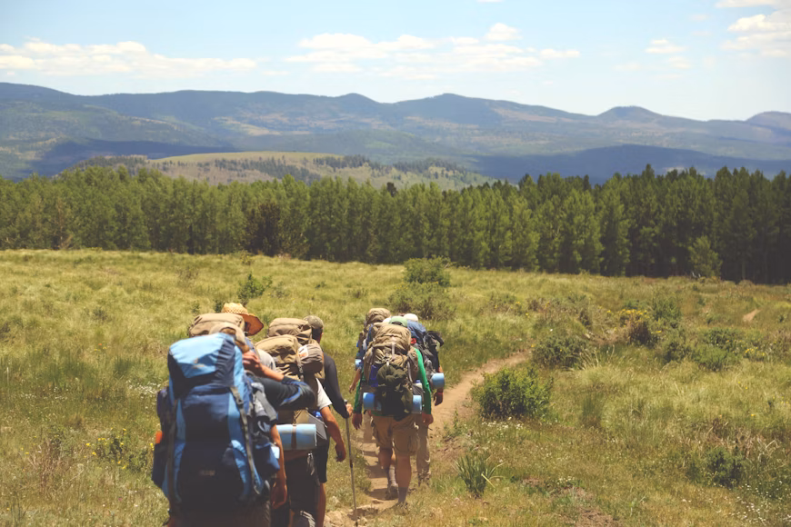 Group tours